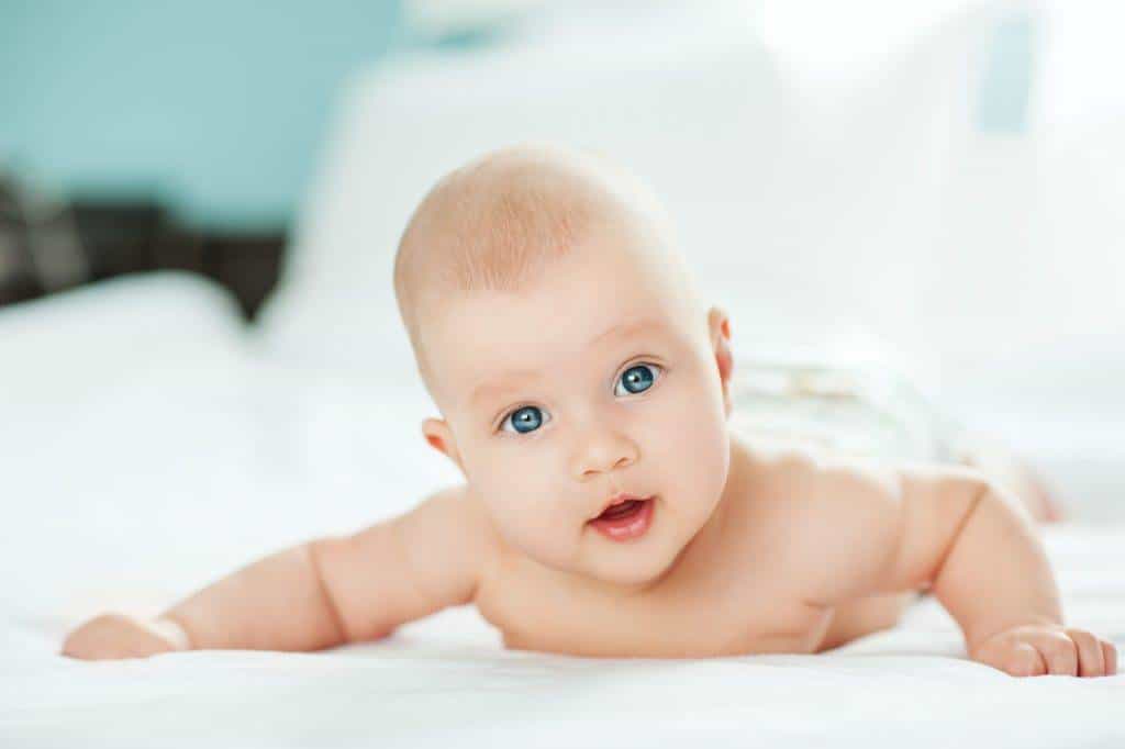 1670934419 TOD Bebek