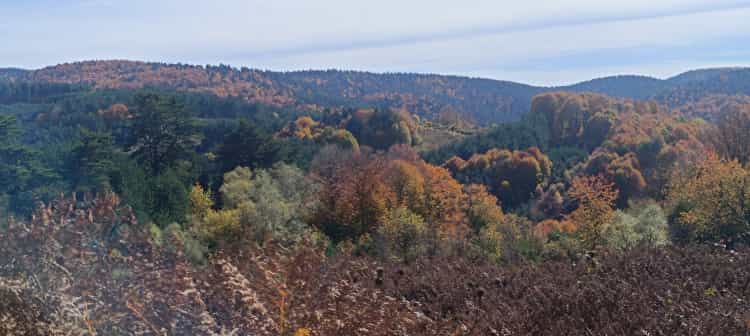 Bilecik Bozcaarmut’ta Sonbaharın Büyüleyici Renkleri