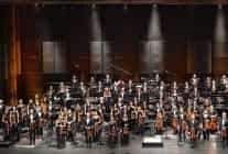 bifodan ahmed adnan saygunu anma konseri sayguna armagan