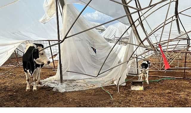 buyuksehir yagis ve firtinadan zarar goren ureticinin yaninda