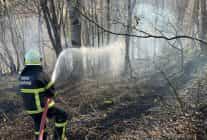 Ordu’da son bir haftada 40 yangın çıktı