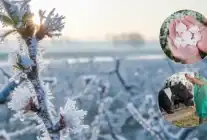 Ekim Ayında Üreticilere 11,6 Milyar TL Tazminat Ödendi