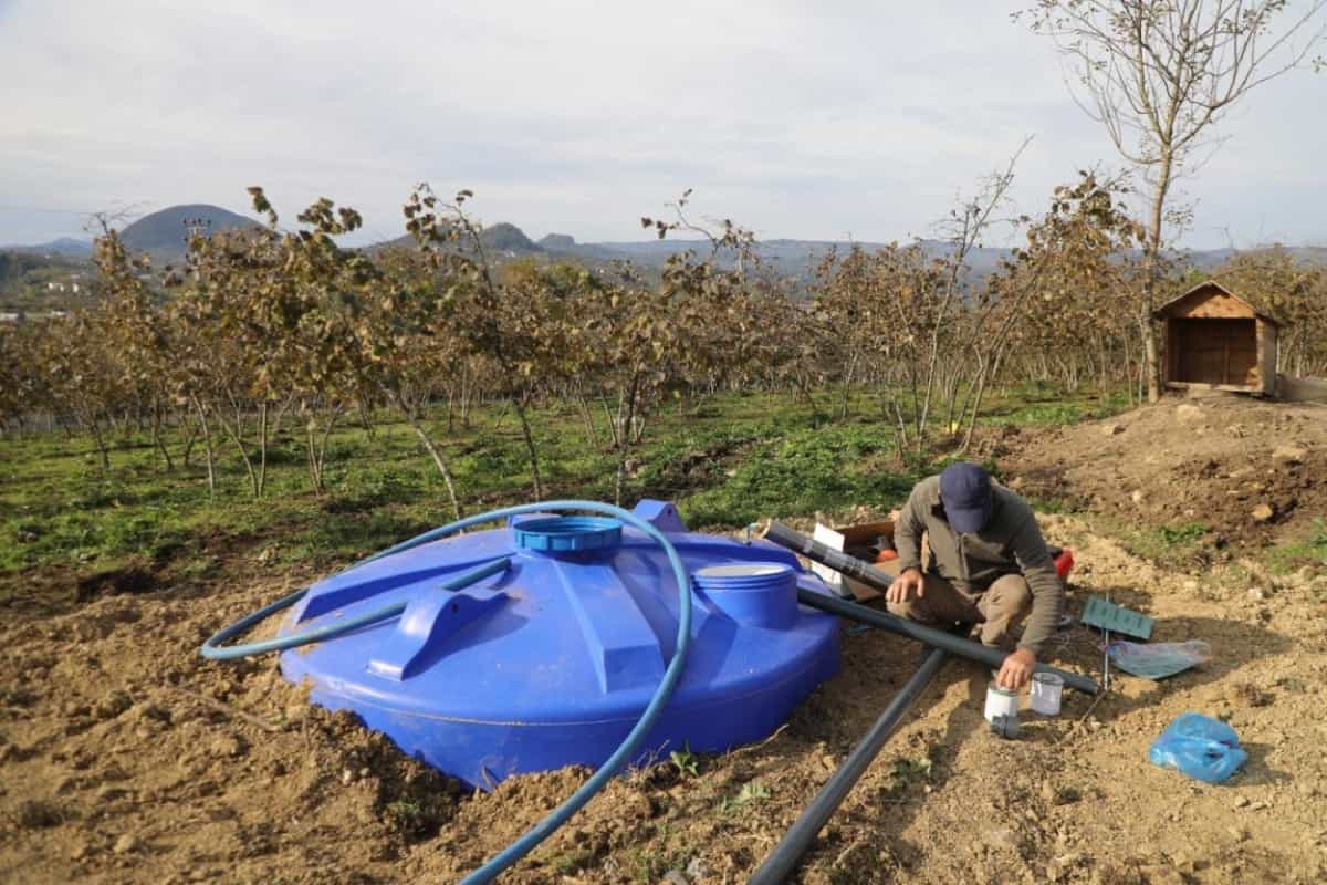 Finver Tarımında Yeni Dönem: Damlama Sulama