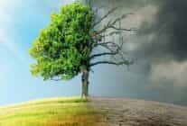 İklim Değişikliğinin Türkiye’de Göç ve Yerinde Kalma Üzerindeki Etkileri