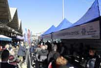 aydin buyuksehir belediyesi binlerce kislik fideyi kusadalilar ile bulusturdu