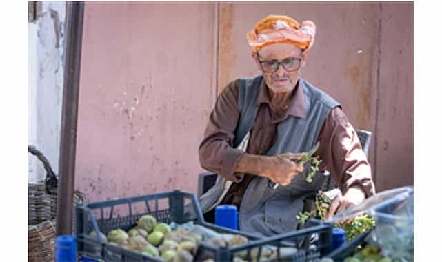 beydag incirinin katma degeri artiyor