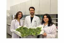 bilgili ogrenciler antibiyotik direncine karsi yenilikci ve dogal bir yontem gelistirdi