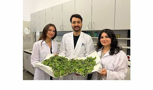 bilgili ogrenciler antibiyotik direncine karsi yenilikci ve dogal bir yontem gelistirdi