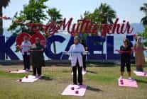 buyuksehir modeli avrupada ornek gosterildi