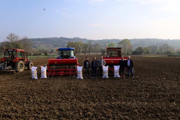Kocaeli’nde Hibeli Tohumlar Tarlalarla Buluştu