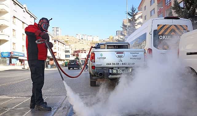 cankayada dort mevsim hasere ile mucadele