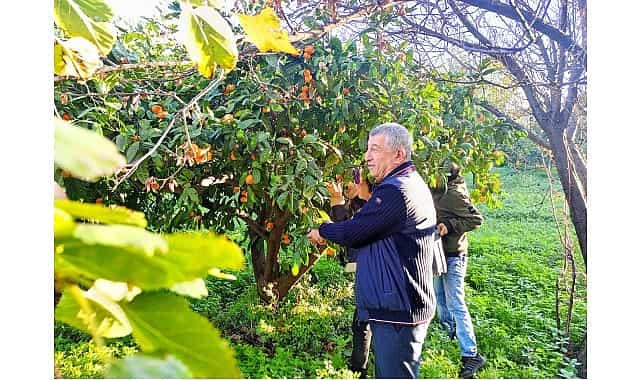 ciftcinin urunu dalinda kaldi belediye topladi halka dagitti