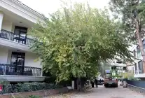 İstanbul Maltepe’de Budama Sezonu Başladı