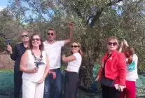 Artemis Lions Kulübü Urla’da Zeytin Hasadı Yaptı