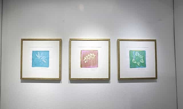 “Işığın İzi” sergisi Nilüfer’de 1 isigin izi sergisi niluferde