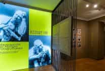 istanbul arastirmalari enstitusunden ucretsiz sergi turu