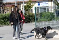 izmirli hayvansever corekcinin emanetlerine izmir buyuksehir belediyesi sahip cikti