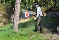 kartepe belediyesi park ve bahceler mudurlugunden yogun calisma