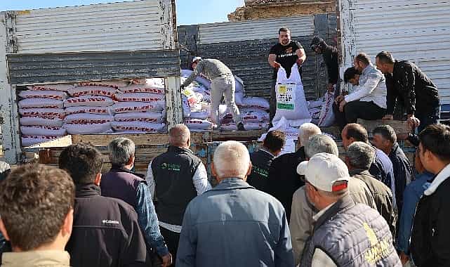 konya buyuksehirden ciftciye kurakliga dayanikli mercimek tohumu destegi