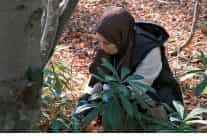 kuzuyaylada mantarlarin gizemli dunyasi kesfedildi