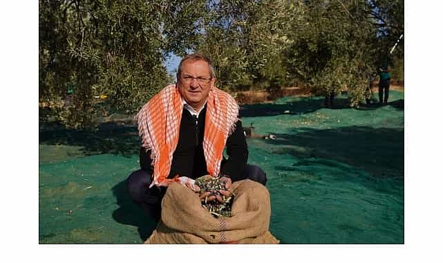 mesut ergin dunya zeytin agaci gunu kutlu olsun