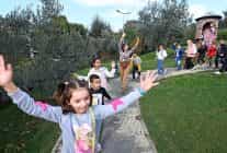 osmangazide ara tatil senlendi