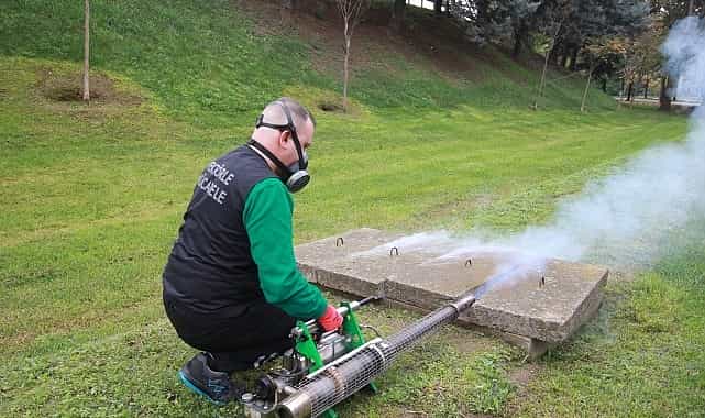 sinekle mucadele sonbaharda da hiz kesmiyor