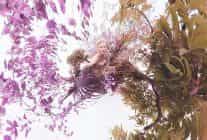 solve sundsbonun cektigi elements baslikli 2026 pirelli takvimi pragda tanitildi