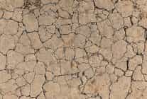 tema vakfi toprak yoksa su su yoksa gida yok