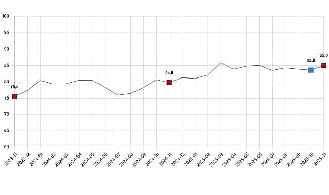 tuketici guven endeksi kasim 2025