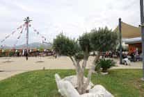 yazar yekta kopan efes tarlasi yasam koyunde okurlariyla bulusuyor