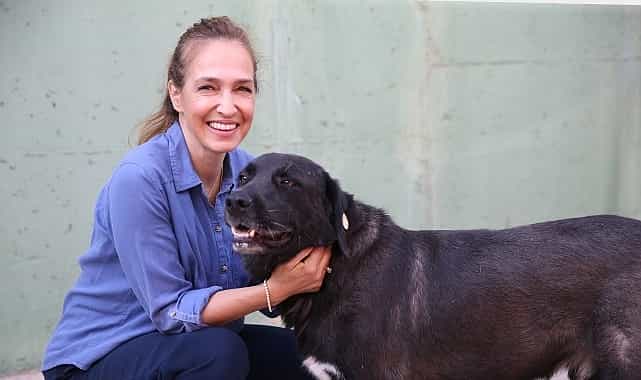 1 yilda 40 bin can dosta sefkat eli uzandi