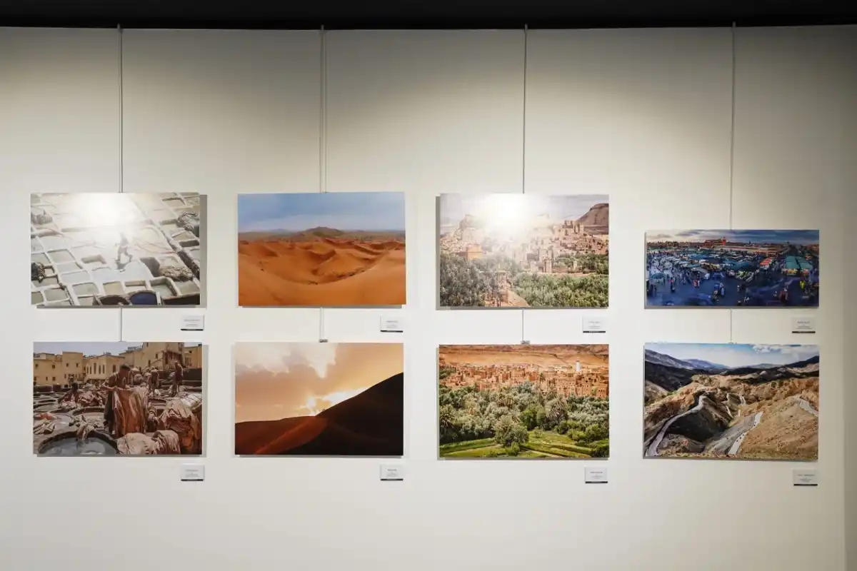 Beylikdüzü Belediyesi İFSAK Sergisine Ev Sahipliği Yapıyor 1 Beylikdüzü Belediyesi İFSAK Sergisine Ev Sahipliği Yapıyor