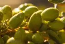 Marmarabirlik’te Üçüncü Dilim İçin Geri Sayım