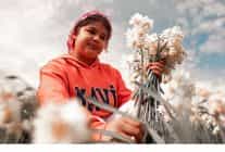 bayindirda nergis ve kuru cicek festivali 5 kez duzenleniyor