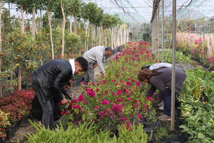 Muğla, Yerel Kalkınmaya Büyük Destek Veriyor