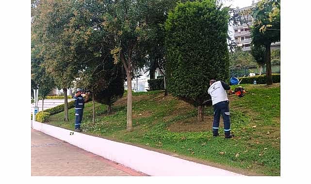 buyuksehirden yesil alanlara ozel bakim