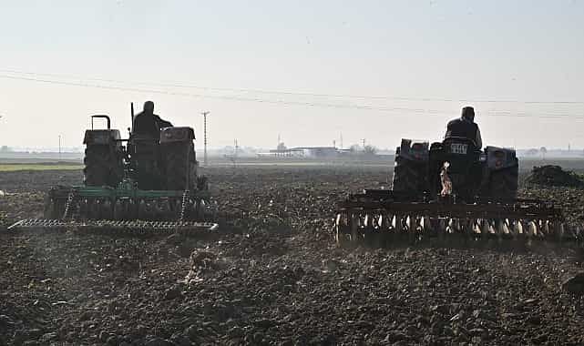 buyuksehirin tohumlari saricali mahallesinin merasini yesertecek