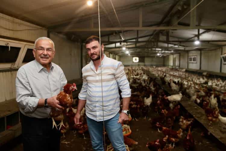 Ordu Yumurta Sektöründe Büyüme Dönemi