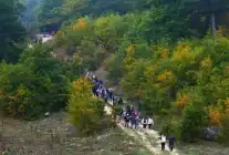 Sakarya’da Sonbaharın Doğayla Buluşması