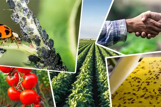 Tarımsal Destek Ödemelerinde Yeni Düzenleme