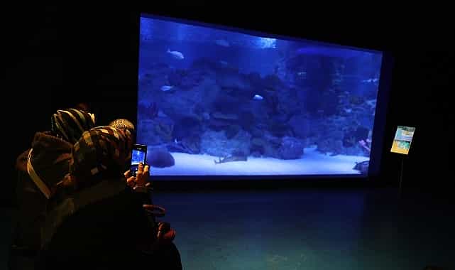 engelliler su alti dalisi yaparak yeteneklerini sergiledi