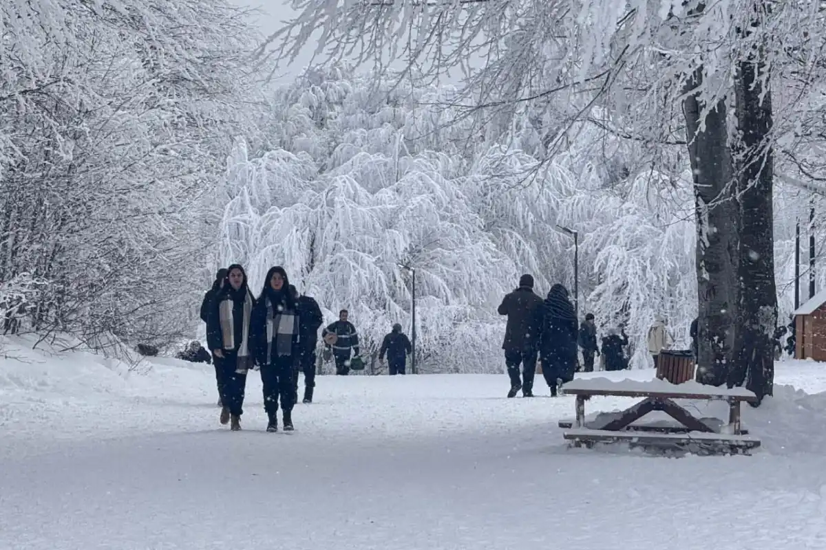 Ormanya, 2025’te Ziyaretçi Akınına Uğradı