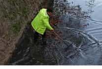 gemlik belediyesi tum mudurlukleriyle sahada