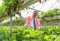 izmir buyuksehir belediyesi ureticiye destegini surdurdu