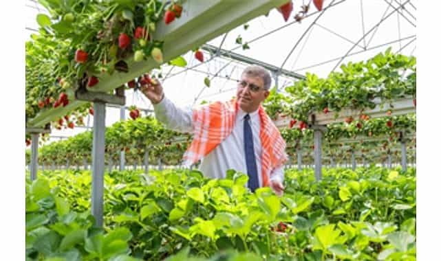 izmir buyuksehir belediyesi ureticiye destegini surdurdu