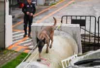 maltepenin zeynasi artik ekibin bir parcasi