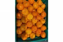 mandalina ihracati tarih yaziyor