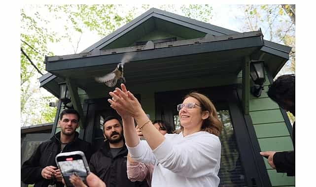 mantar aviyla doganin tadini cikardilar