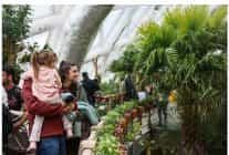 selcuklunun sembol mekanlarinda seb i arus yogunlugu yasaniyor